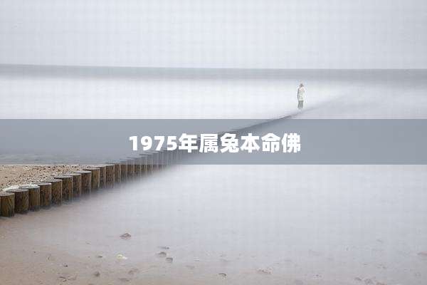 1975年属兔本命佛