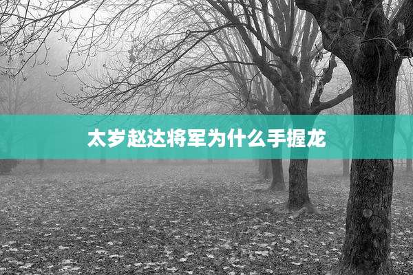 太岁赵达将军为什么手握龙