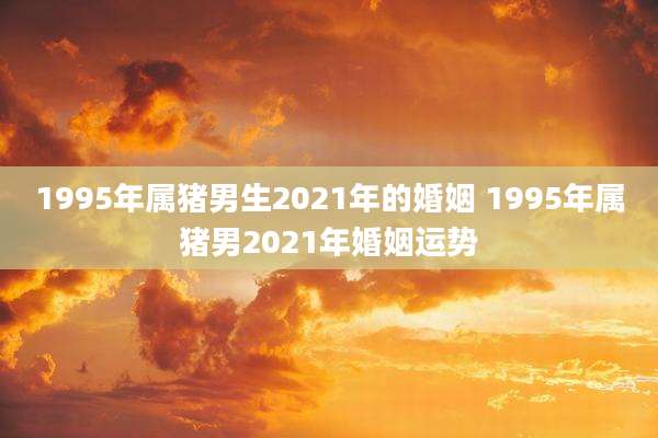 1995年属猪男生2021年的婚姻 1995年属猪男2021年婚姻运势