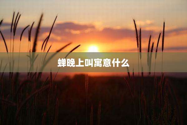 蝉晚上叫寓意什么