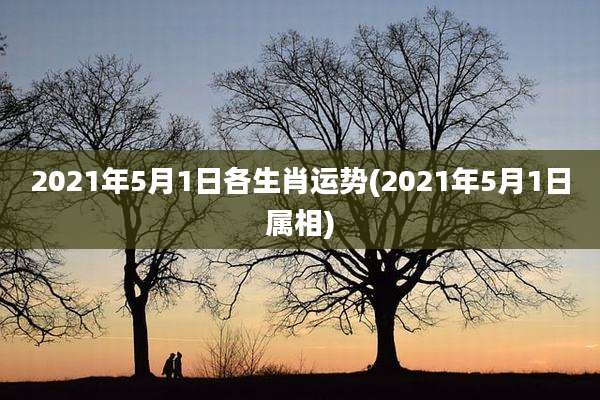 2021年5月1日各生肖运势(2021年5月1日属相)
