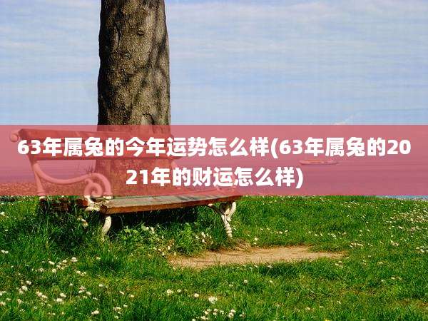 63年属兔的今年运势怎么样(63年属兔的2021年的财运怎么样)