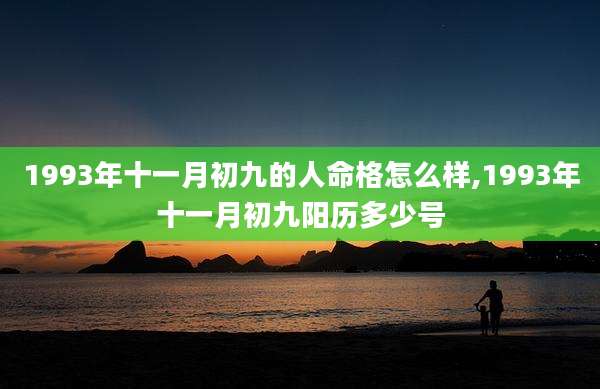 1993年十一月初九的人命格怎么样,1993年十一月初九阳历多少号