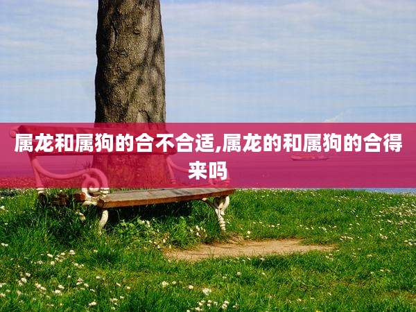 属龙和属狗的合不合适,属龙的和属狗的合得来吗
