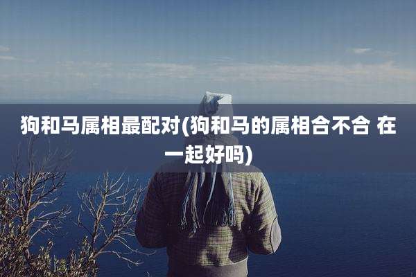 狗和马属相最配对(狗和马的属相合不合 在一起好吗)