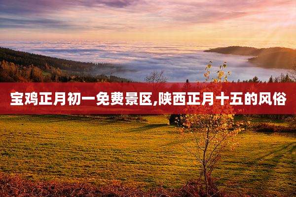 宝鸡正月初一免费景区,陕西正月十五的风俗