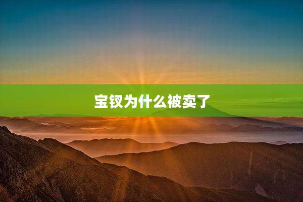 宝钗为什么被卖了