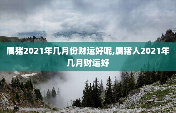 属猪2021年几月份财运好呢,属猪人2021年几月财运好
