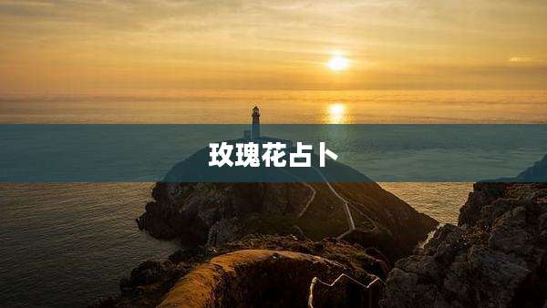 玫瑰花占卜