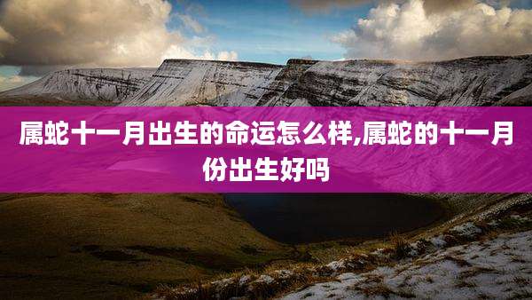属蛇十一月出生的命运怎么样,属蛇的十一月份出生好吗