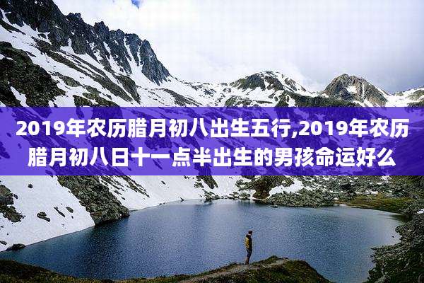 2019年农历腊月初八出生五行,2019年农历腊月初八日十一点半出生的男孩命运好么