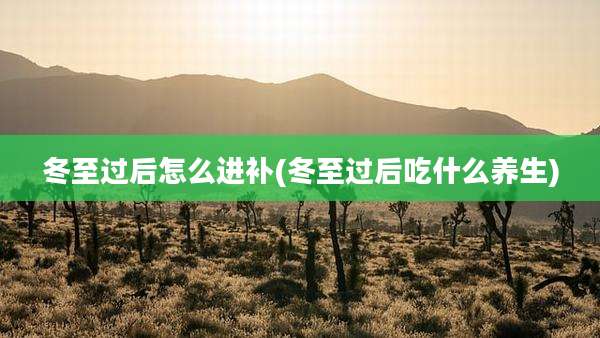 冬至过后怎么进补(冬至过后吃什么养生)