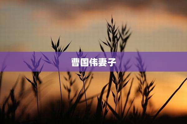 曹国伟妻子