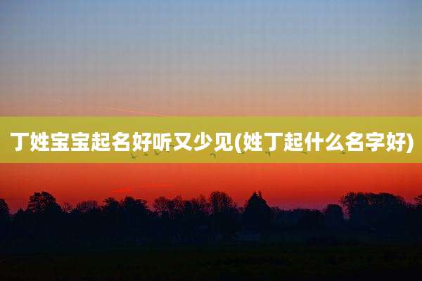 丁姓宝宝起名好听又少见(姓丁起什么名字好)