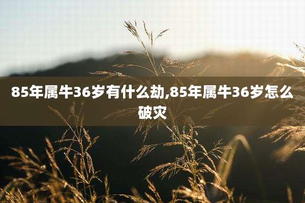 85年属牛36岁有什么劫,85年属牛36岁怎么破灾