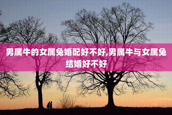 男属牛的女属兔婚配好不好,男属牛与女属兔结婚好不好
