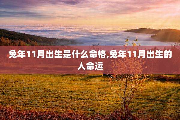 兔年11月出生是什么命格,兔年11月出生的人命运