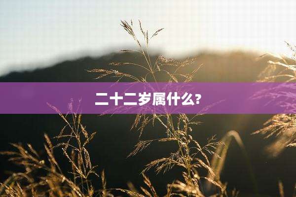二十二岁属什么?