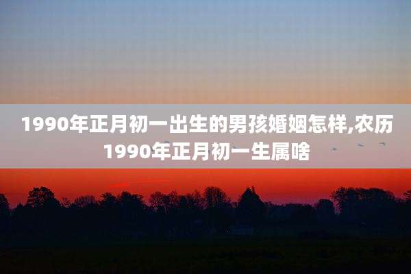 1990年正月初一出生的男孩婚姻怎样,农历1990年正月初一生属啥