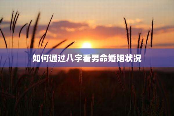 如何通过八字看男命婚姻状况