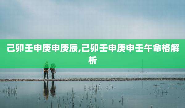 己卯壬申庚申庚辰,己卯壬申庚申壬午命格解析