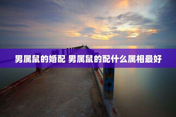 男属鼠的婚配 男属鼠的配什么属相最好