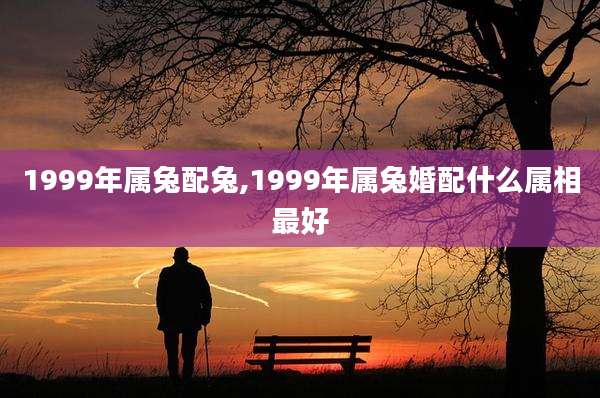 1999年属兔配兔,1999年属兔婚配什么属相最好