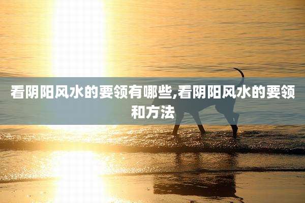 看阴阳风水的要领有哪些,看阴阳风水的要领和方法