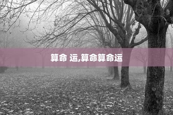 算命 运,算命算命运