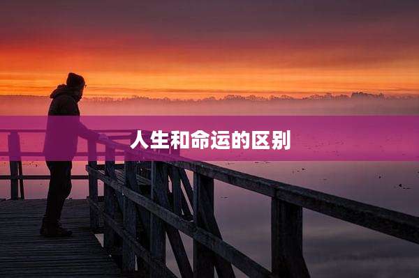 人生和命运的区别