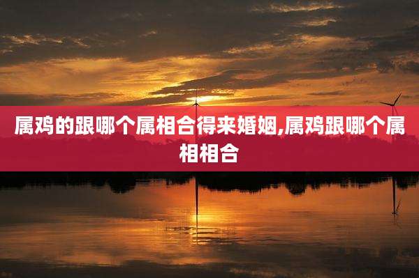 属鸡的跟哪个属相合得来婚姻,属鸡跟哪个属相相合