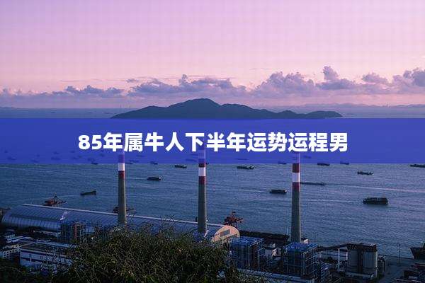 85年属牛人下半年运势运程男