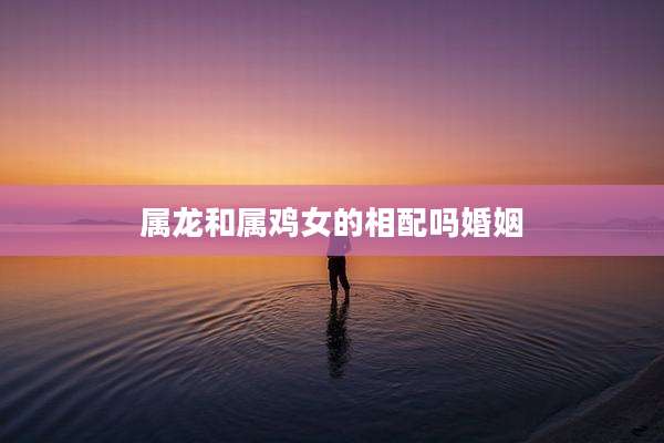 属龙和属鸡女的相配吗婚姻