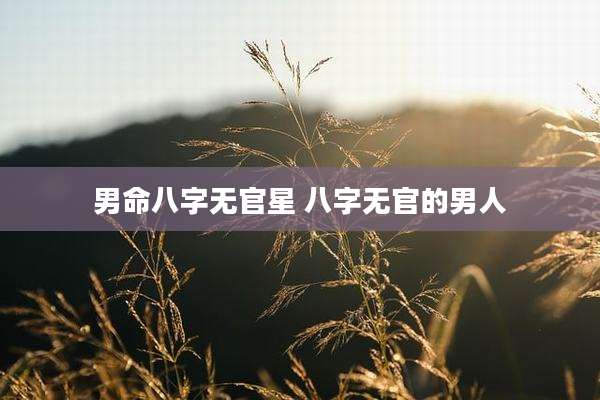 男命八字无官星 八字无官的男人