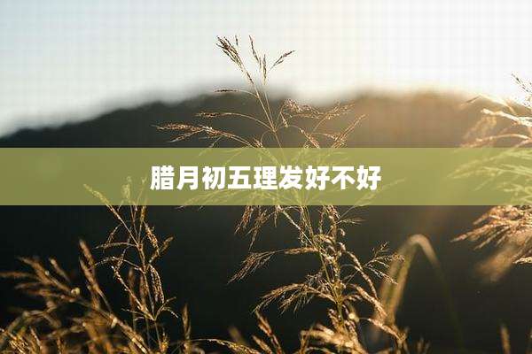 腊月初五理发好不好