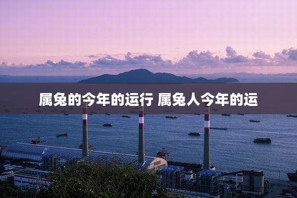 属兔的今年的运行 属兔人今年的运