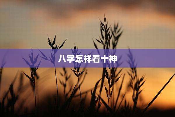 八字怎样看十神