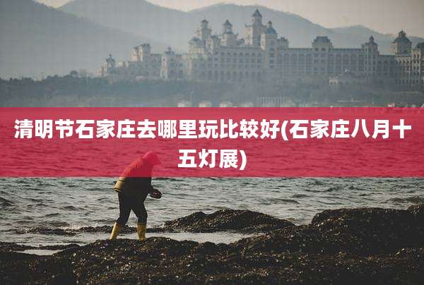清明节石家庄去哪里玩比较好(石家庄八月十五灯展)