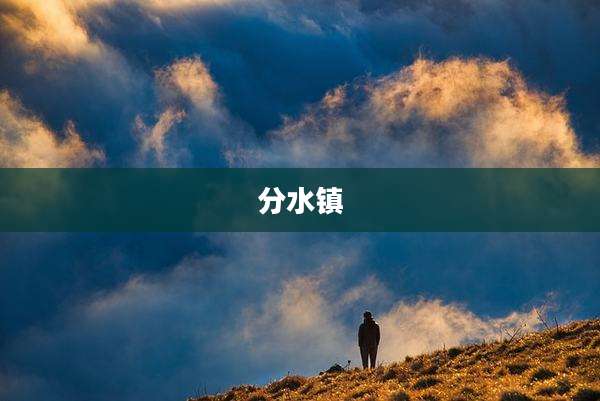 分水镇