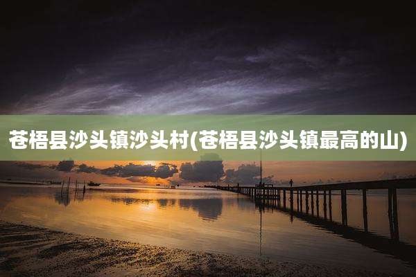 苍梧县沙头镇沙头村(苍梧县沙头镇最高的山)