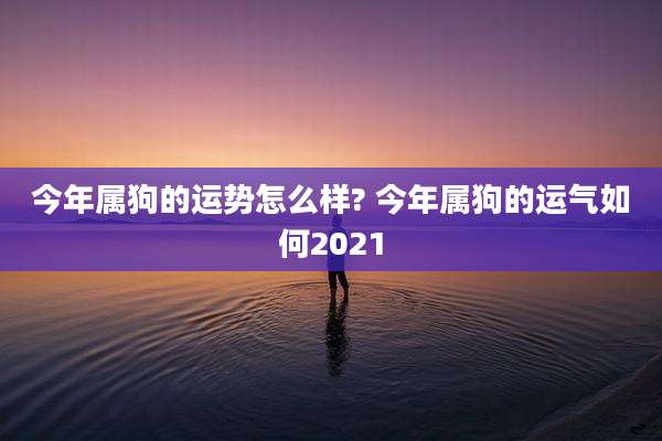 今年属狗的运势怎么样? 今年属狗的运气如何2021