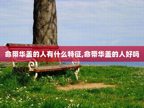 命带华盖的人有什么特征,命带华盖的人好吗