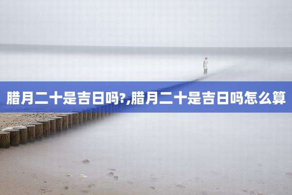 腊月二十是吉日吗?,腊月二十是吉日吗怎么算