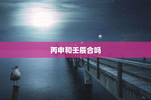 丙申和壬辰合吗