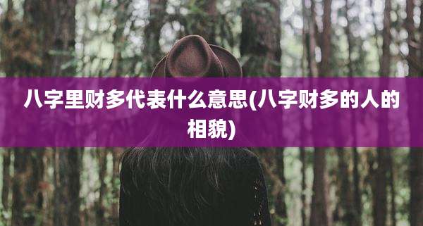 八字里财多代表什么意思(八字财多的人的相貌)