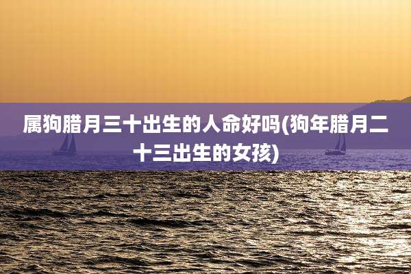 属狗腊月三十出生的人命好吗(狗年腊月二十三出生的女孩)