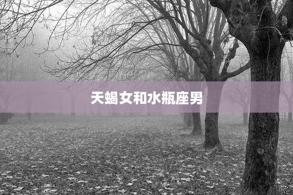 天蝎女和水瓶座男