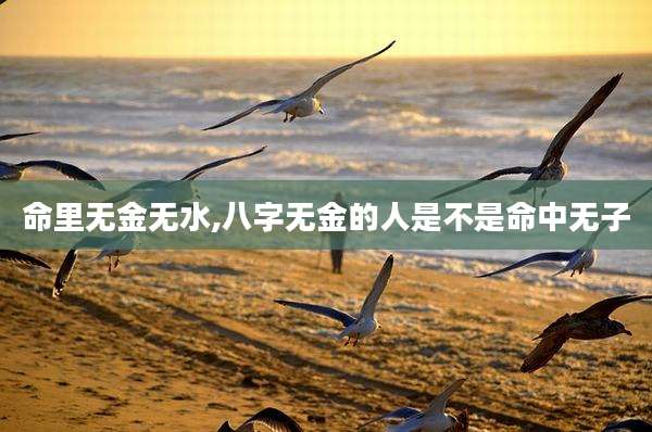 命里无金无水,八字无金的人是不是命中无子