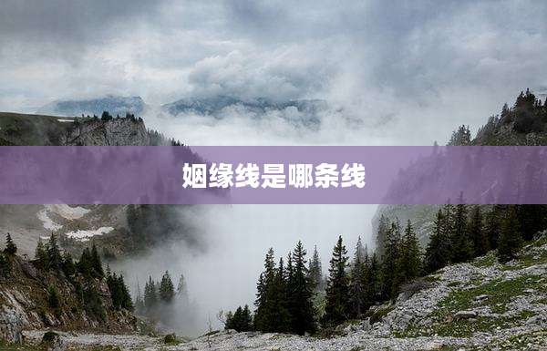 姻缘线是哪条线