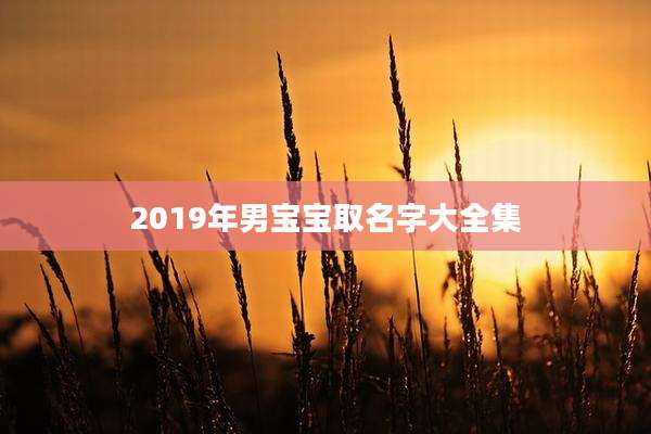2019年男宝宝取名字大全集